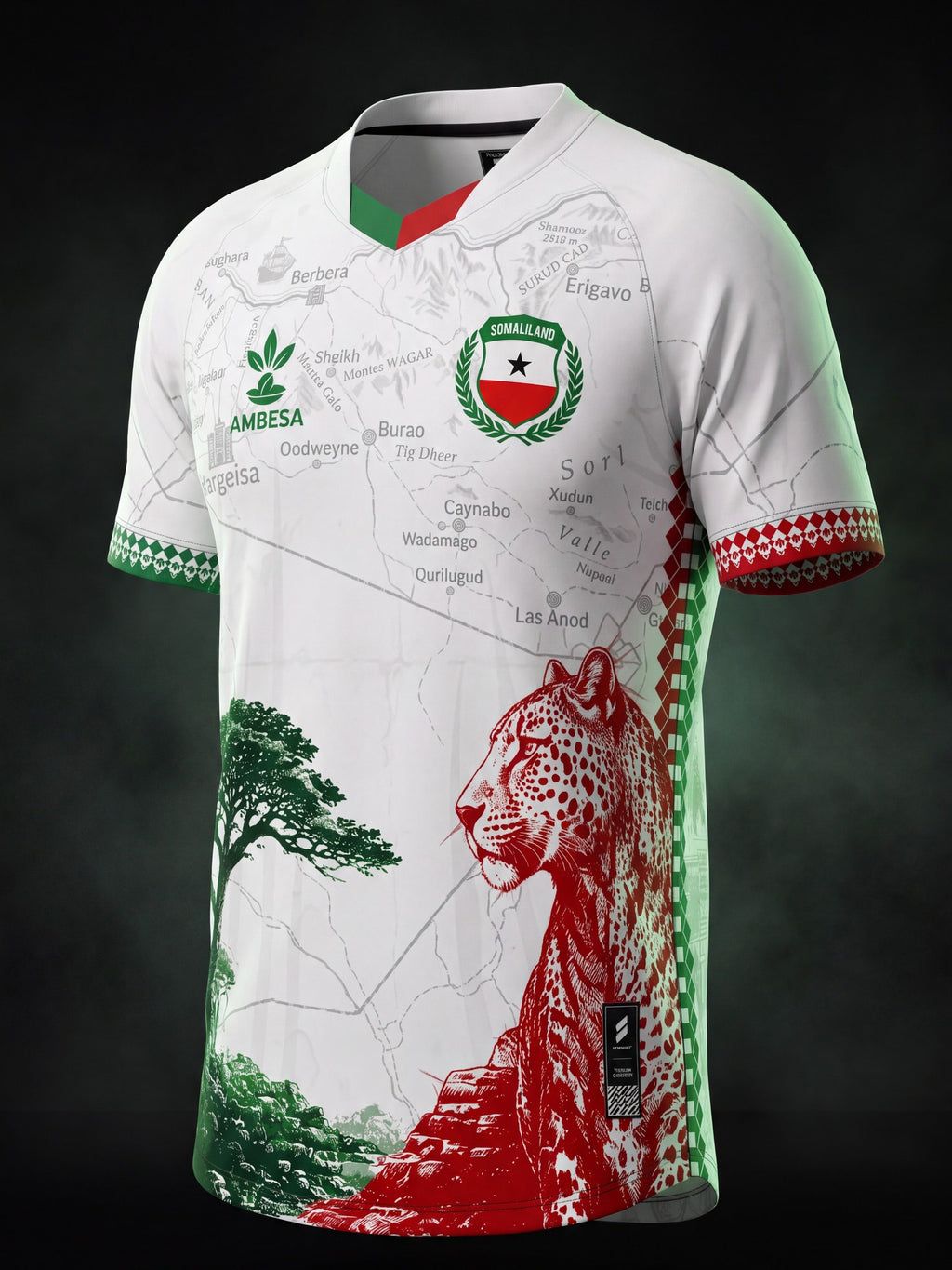 Somaliland Shabeel jersey, three quarter view